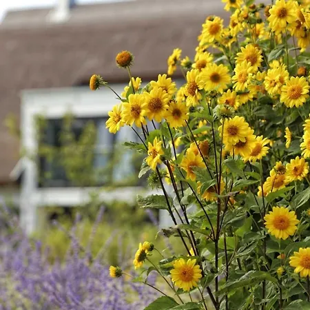 Kapitaensweg 2 Kajuete 07 *