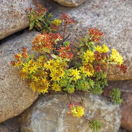 Kapitaensweg 2 Kajuete 07 * Karlshagen