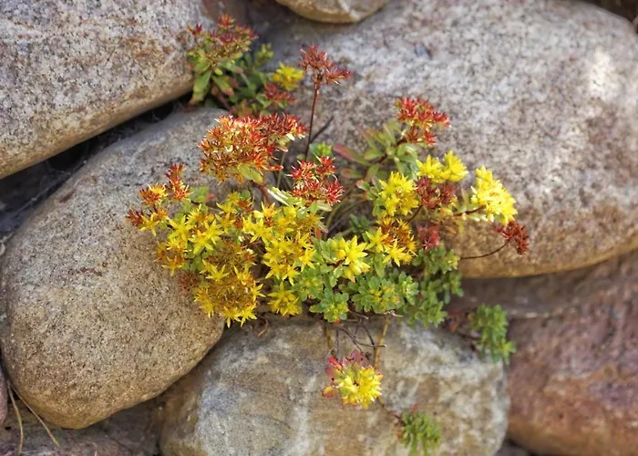 Kapitaensweg 2 Kajuete 07 * Karlshagen