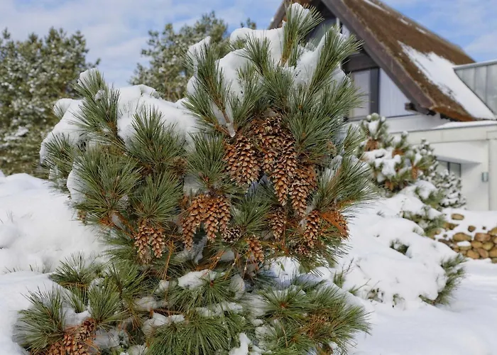 Apartment Kapitaensweg 2 Kajuete 07 Karlshagen